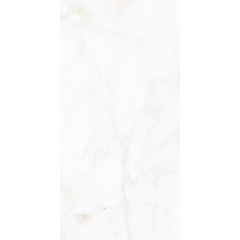 60x120 ANTISKY 2 Polished 9 mm Керамогранит