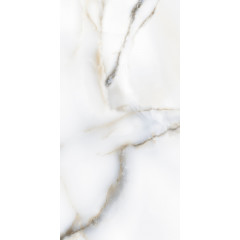 60x120 HEXA WHITE Polished 9 mm Керамогранит