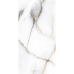 60x120 HEXA WHITE Polished 9 mm Керамогранит