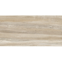 TWU09WDX404 плитка облицовочная Woodmix 249*500