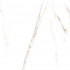 TWU09DKT004 плитка облицовочная Dakota 249*500