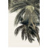 PWU09DLM2 панно из 3 плиток Del Mare 500*747