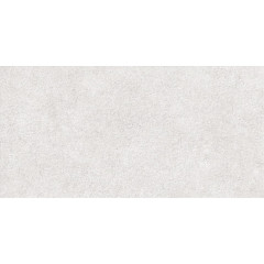 TWU2550DCV04 плитка облицовочная рельефная Discover 249*500
