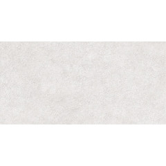 TWU2550DCV04 плитка облицовочная рельефная Discover 249*500