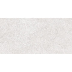 TWU2550DCV04 плитка облицовочная рельефная Discover 249*500