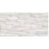 TWU2550DCV14 плитка облицовочная рельефная Discover 249*500