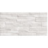 TWU2550DCV14 плитка облицовочная рельефная Discover 249*500
