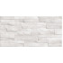 TWU2550DCV14 плитка облицовочная рельефная Discover 249*500