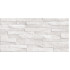 TWU2550DCV14 плитка облицовочная рельефная Discover 249*500