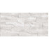 TWU2550DCV14 плитка облицовочная рельефная Discover 249*500