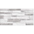 TWU2550DCV17 плитка облицовочная рельефная Discover 249*500