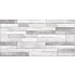 TWU2550DCV17 плитка облицовочная рельефная Discover 249*500
