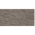 TWU2550DCV24 плитка облицовочная рельефная Discover 249*500