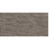 TWU2550DCV24 плитка облицовочная рельефная Discover 249*500