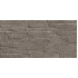 TWU2550DCV24 плитка облицовочная рельефная Discover 249*500