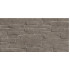 TWU2550DCV24 плитка облицовочная рельефная Discover 249*500