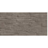 TWU2550DCV24 плитка облицовочная рельефная Discover 249*500