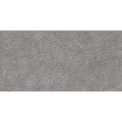 TWU2550DCV70 плитка облицовочная рельефная Discover 249*500