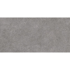 TWU2550DCV70 плитка облицовочная рельефная Discover 249*500