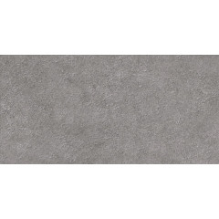 TWU2550DCV70 плитка облицовочная рельефная Discover 249*500