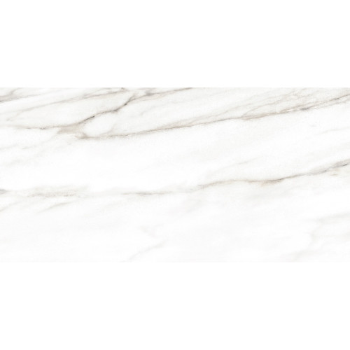 TWU2550EPH04 плитка облицовочная Euphoria 249*500