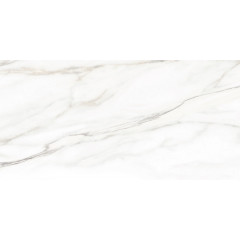 TWU2550EPH04 плитка облицовочная Euphoria 249*500