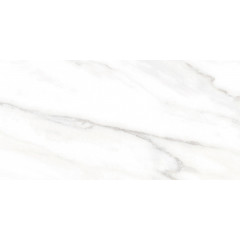TWU2550EPH04 плитка облицовочная Euphoria 249*500