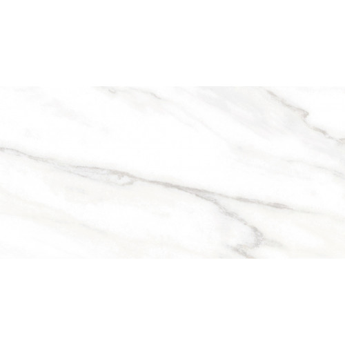 TWU2550EPH04 плитка облицовочная Euphoria 249*500