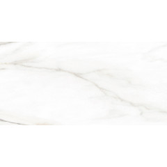 TWU2550EPH04 плитка облицовочная Euphoria 249*500