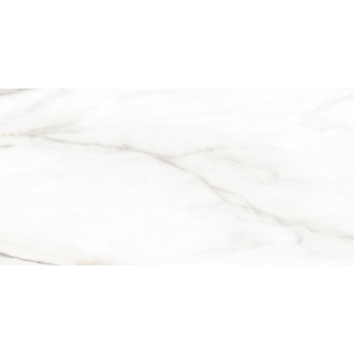 TWU2550EPH04 плитка облицовочная Euphoria 249*500
