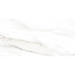 TWU2550EPH04 плитка облицовочная Euphoria 249*500