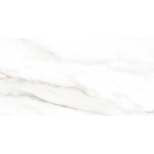 TWU2550EPH04 плитка облицовочная Euphoria 249*500
