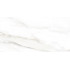 TWU2550EPH04 плитка облицовочная Euphoria 249*500