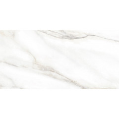 TWU2550EPH04 плитка облицовочная Euphoria 249*500