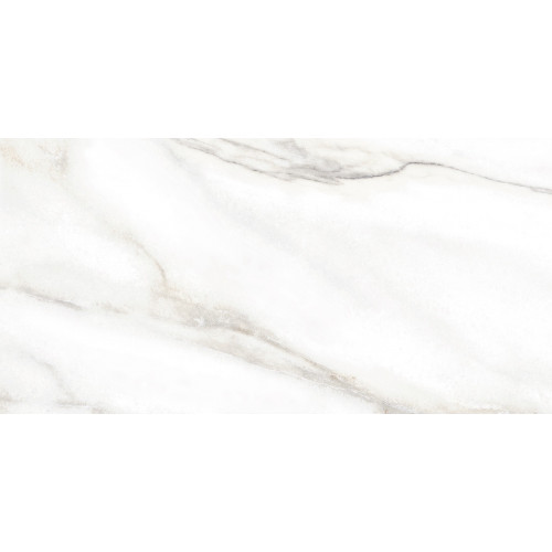 TWU2550EPH04 плитка облицовочная Euphoria 249*500