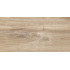 TWU2550EPH40 плитка облицовочная рельефная Euphoria 249*500