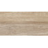 TWU2550EPH40 плитка облицовочная рельефная Euphoria 249*500