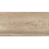 TWU2550EPH40 плитка облицовочная рельефная Euphoria 249*500