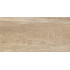 TWU2550EPH40 плитка облицовочная рельефная Euphoria 249*500