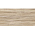 TWU2550EPH44 плитка облицовочная рельефная Euphoria 249*500