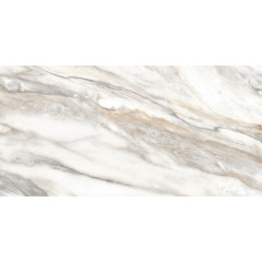 TWU2550EPH74 плитка облицовочная Euphoria 249*500