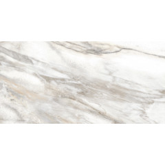 TWU2550EPH74 плитка облицовочная Euphoria 249*500