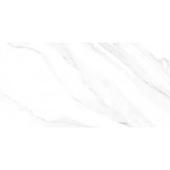 TWU2550FRC07 плитка облицовочная Fresco 249*500