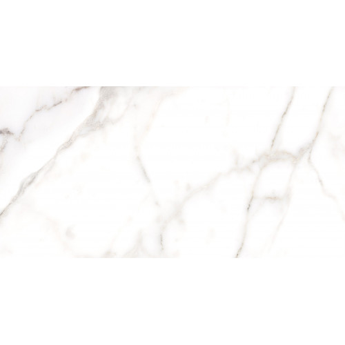 TWU09GRG007 плитка облицовочная Grigio 249*500