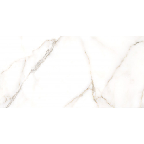 TWU09GRG007 плитка облицовочная Grigio 249*500