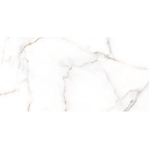 TWU09GRG007 плитка облицовочная Grigio 249*500