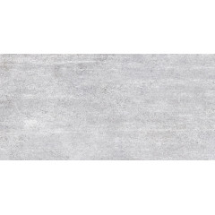 TWU09PSR007 плитка облицовочная Plaster 249*500