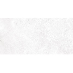 TWU09TON000 плитка облицовочная Stone 249*500