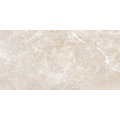 TWU2550PRS40 плитка облицовочная Persey 249*500