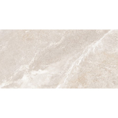 TWU2550PRS40 плитка облицовочная Persey 249*500